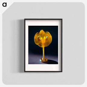アートポスター-Pansy Vase
 - セントルイス美術館 Poster.