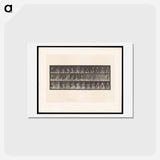 アートポストカード-The Basin and Jug
 - エドワード マイブリッジ Postcard.