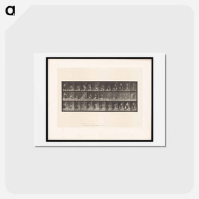 アートポストカード-The Basin and Jug
 - エドワード マイブリッジ Postcard.