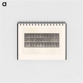 アートメモ帳-The Basin and Jug
 - エドワード マイブリッジ Memo.