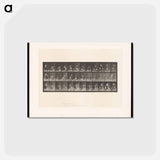 アートポストカード-The Basin and Jug
 - エドワード マイブリッジ Postcard.