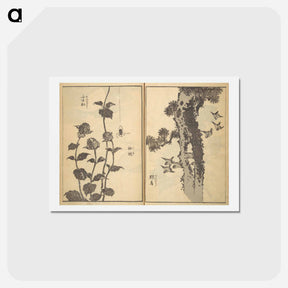 アートポストカード-Old Manji’s Cursive Picture Album - 葛飾 北斎 Postcard.