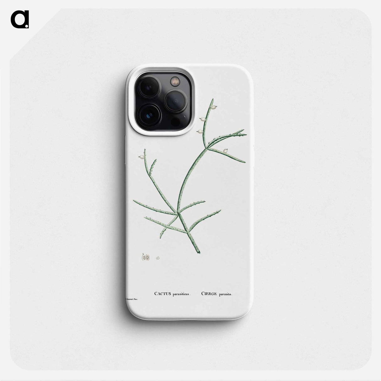 Cactus Parasiticus (Pencil Cactus) - ピエール ジョゼフ ルドゥーテ Phone Case.