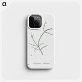 Cactus Parasiticus (Pencil Cactus) - Pierre Joseph Redouté Phone Case.