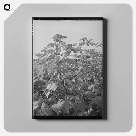 アートパネル-Cane Juice Extraction
 - ラッセル リー Canvas.