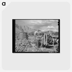 アートポストカード-Cane Juice Extraction
 - ラッセル リー Postcard.