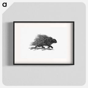 アートポスター-Hedgehog from Portuguese Expedition to Muatianvua Ethnographia and Traditional History of the People of Lunda
 - 大英図書館 Poster.