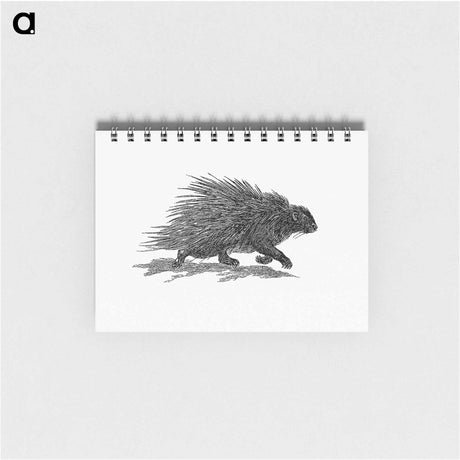 アートメモ帳-Hedgehog from Portuguese Expedition to Muatianvua Ethnographia and Traditional History of the People of Lunda
 - 大英図書館 Memo.