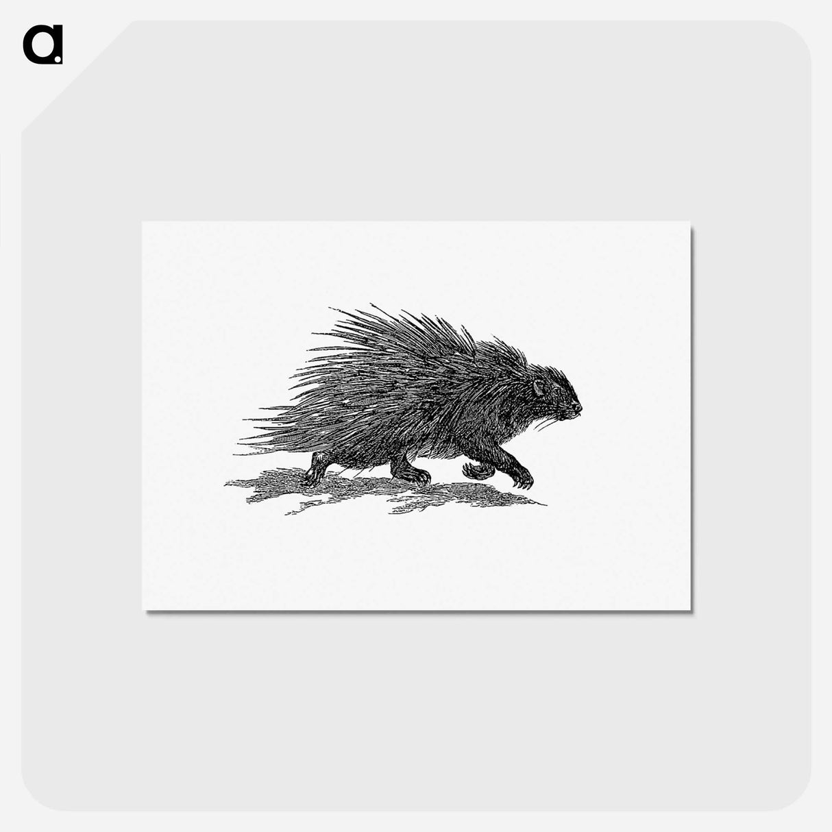 アートポストカード-Hedgehog from Portuguese Expedition to Muatianvua Ethnographia and Traditional History of the People of Lunda
 - 大英図書館 Postcard.