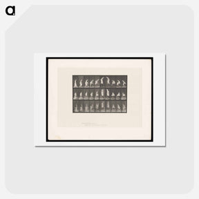アートポストカード-Woman on Table
 - エドワード マイブリッジ Postcard.