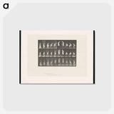 アートポストカード-Woman on Table
 - エドワード マイブリッジ Postcard.