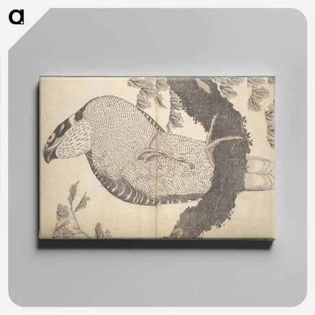 アートパネル-A Realistic Sketchbook by Hokusai - 葛飾 北斎 Canvas.