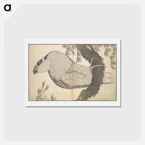 アートポストカード-A Realistic Sketchbook by Hokusai - 葛飾 北斎 Postcard.
