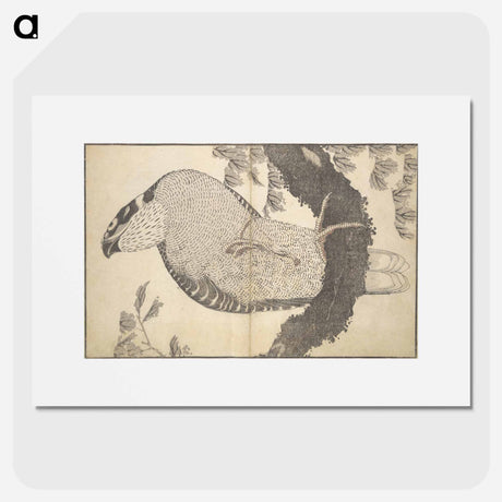 アートポスター-A Realistic Sketchbook by Hokusai - 葛飾 北斎 Poster.