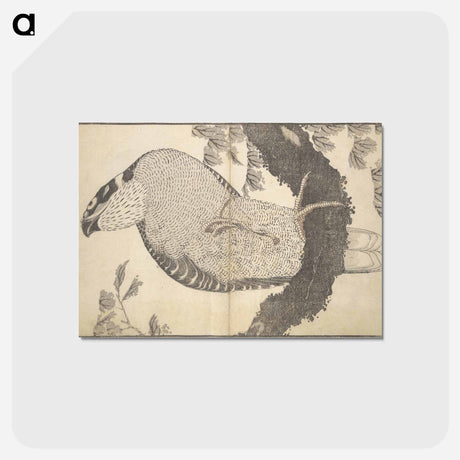 アートポストカード-A Realistic Sketchbook by Hokusai - 葛飾 北斎 Postcard.