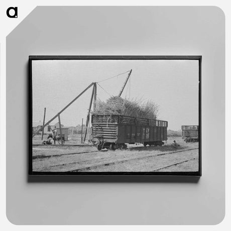 アートパネル-Cowlitz County Logging
 - ラッセル リー Canvas.