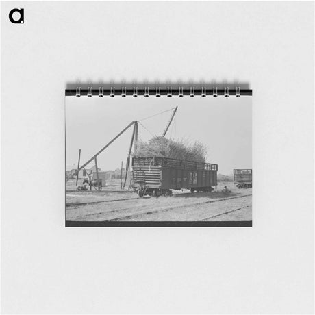 アートメモ帳-Cowlitz County Logging
 - ラッセル リー Memo.