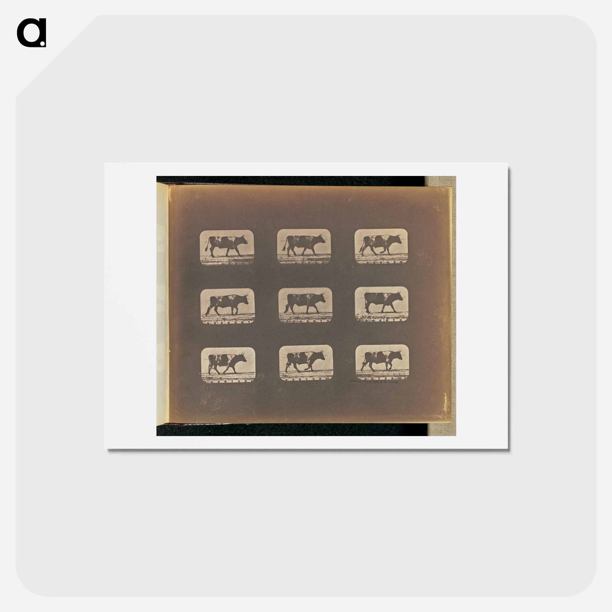 アートポストカード-Walking
 - エドワード マイブリッジ Postcard.