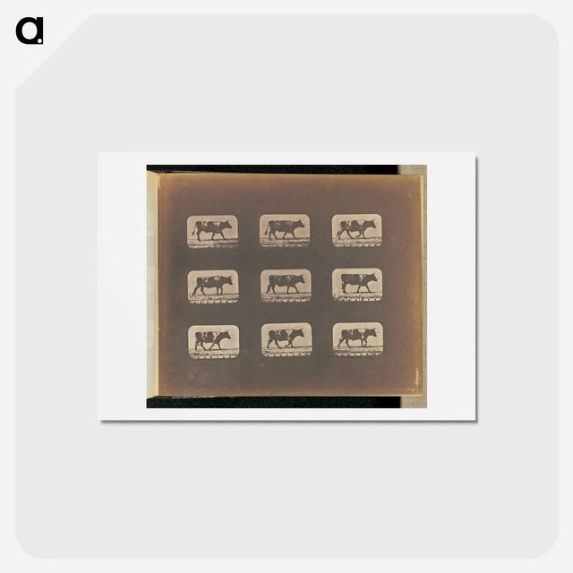 アートポストカード-Walking
 - エドワード マイブリッジ Postcard.