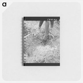 アートメモ帳-Untitled photo - ドロテア ラング Memo.