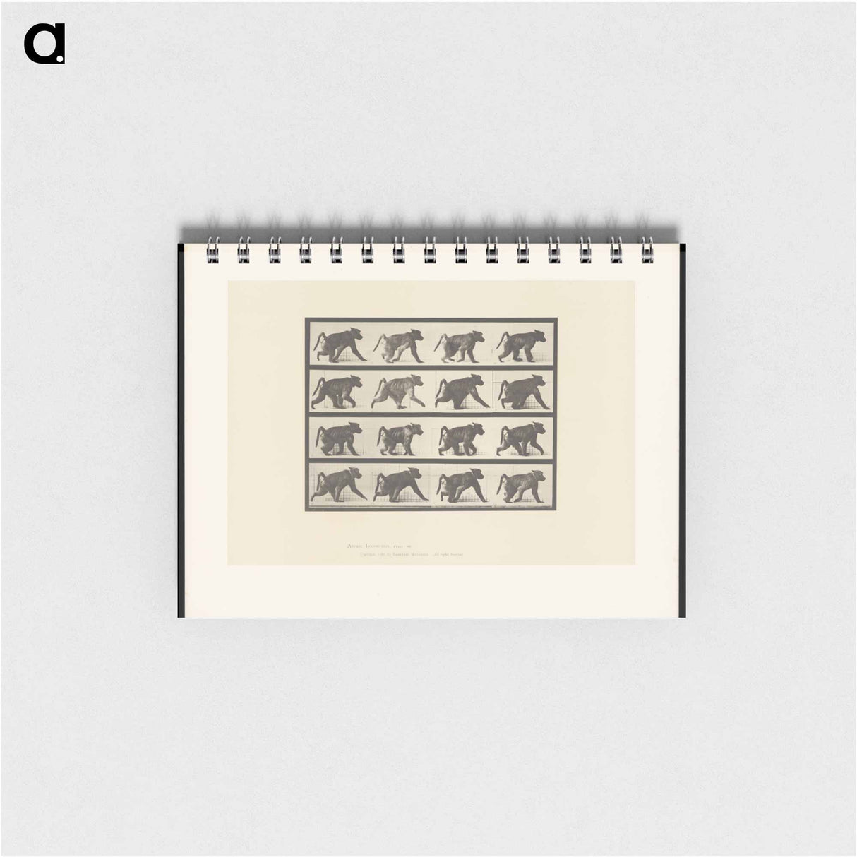 アートメモ帳-Walking Monkey
 - エドワード マイブリッジ Memo.
