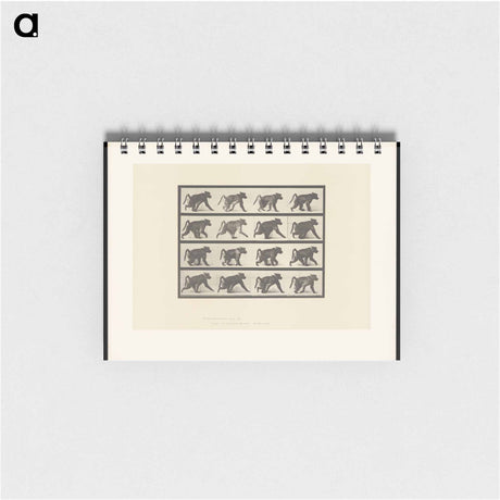 アートメモ帳-Walking Monkey
 - エドワード マイブリッジ Memo.
