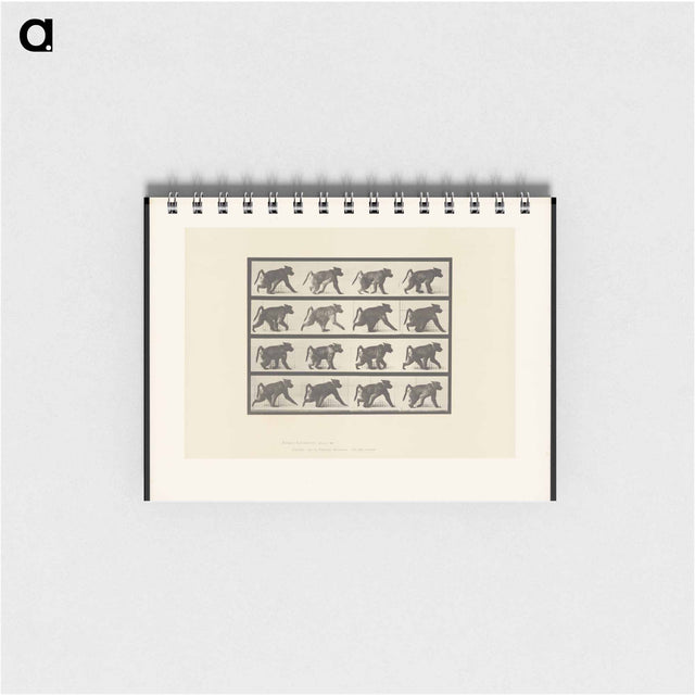 アートメモ帳-Walking Monkey
 - エドワード マイブリッジ Memo.