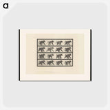アートポストカード-Walking Monkey
 - エドワード マイブリッジ Postcard.
