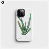 Moraea vaginata illustration - ピエール ジョゼフ ルドゥーテ Phone Case.