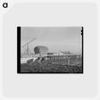 アートポストカード-Dairy Cattle on Black Canyon Project
 - ラッセル リー Postcard.