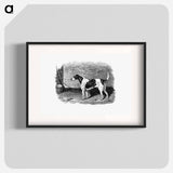 アートポスター-American Foxhound from The Life of a Foxhound
 - 大英図書館 Poster.