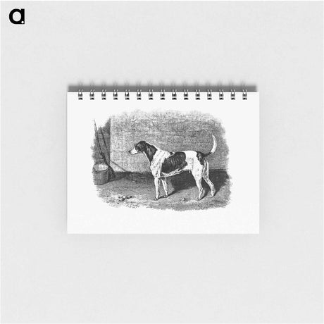 アートメモ帳-American Foxhound from The Life of a Foxhound
 - 大英図書館 Memo.