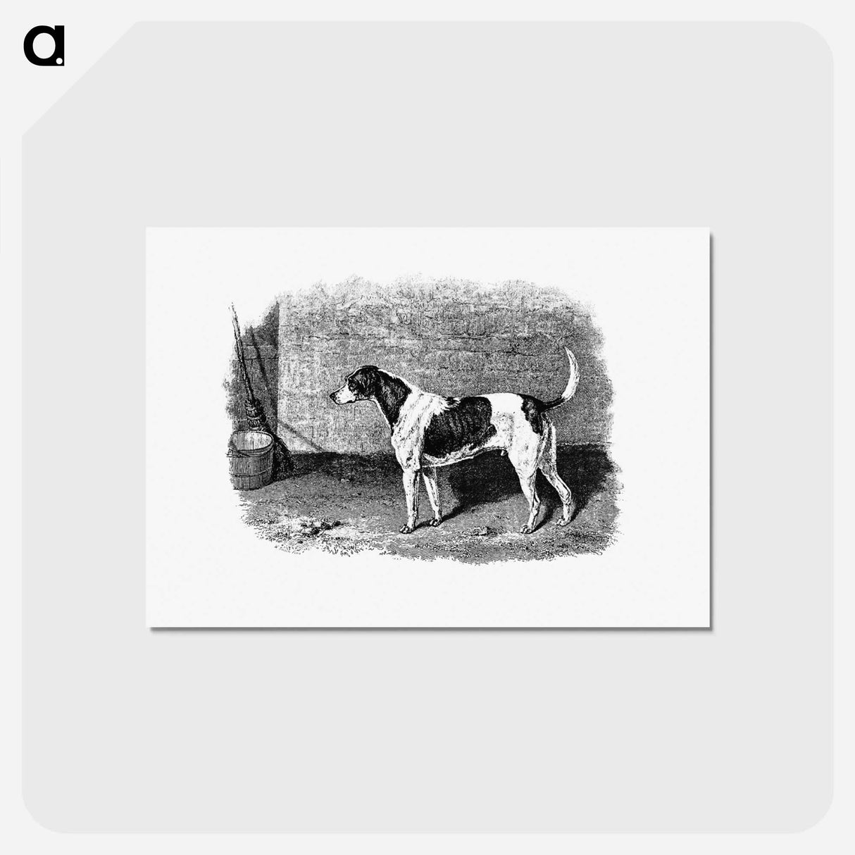 アートポストカード-American Foxhound from The Life of a Foxhound
 - 大英図書館 Postcard.