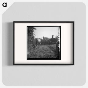 アートポスター-Untitled photo, possibly related to: The threshing of oats - ドロテア ラング Poster.