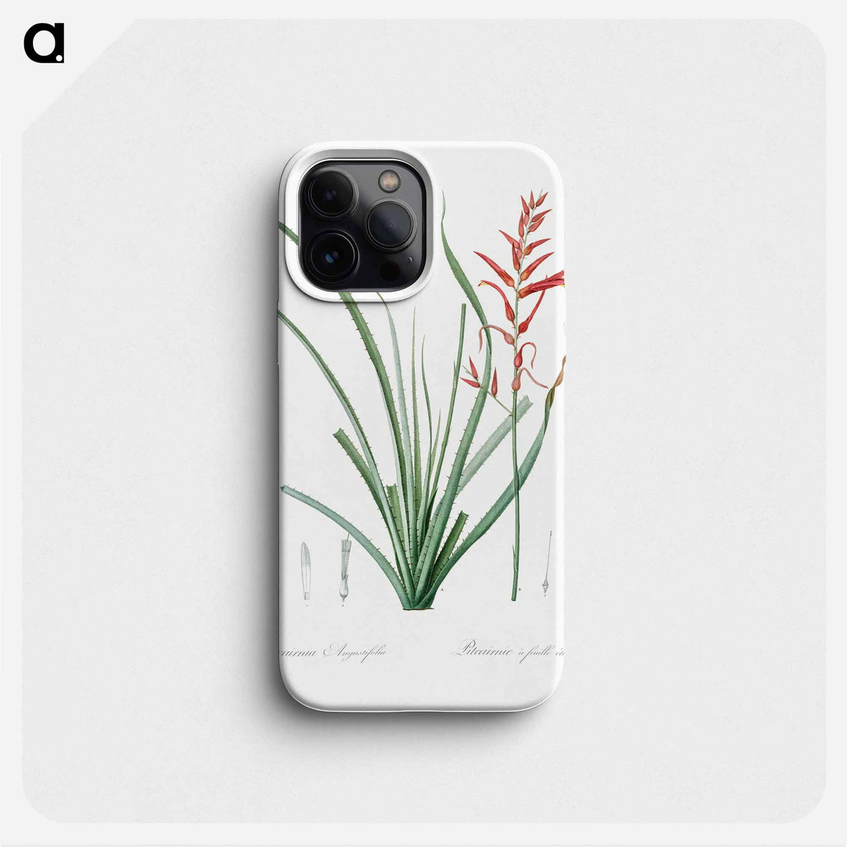 Pitcairnia angustifolia illustration - Pierre Joseph Redouté Phone Case.