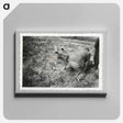 アートパネル-Men Wrestling on Ground
 - セントルイス美術館 Canvas.