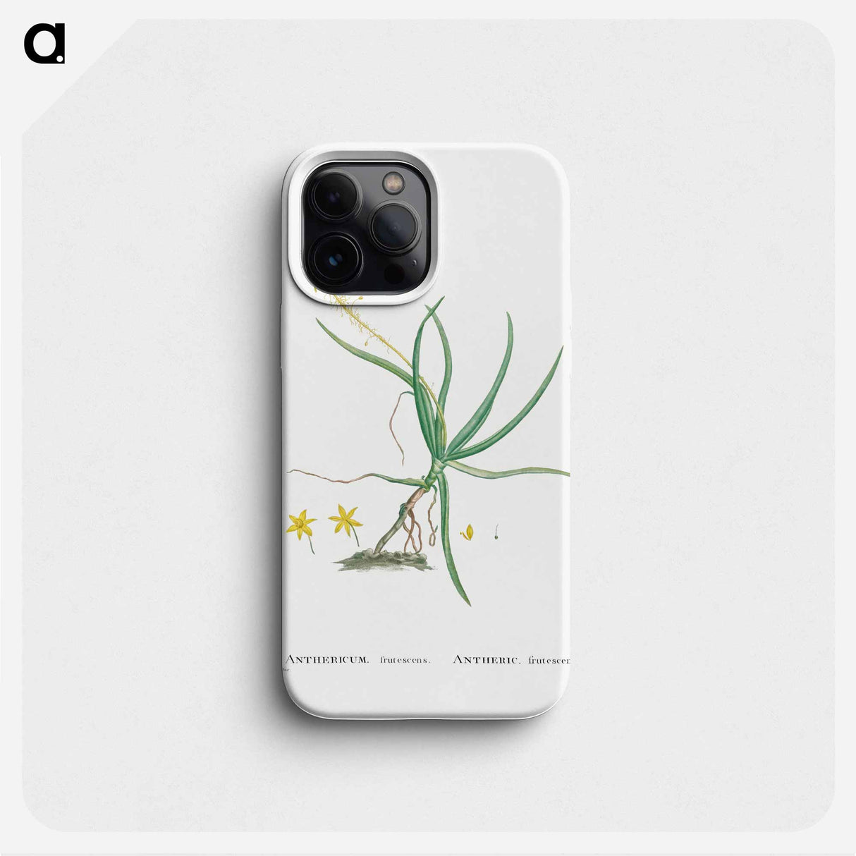 Anthericum Frutescens (Bulbine Frutescens) - Pierre Joseph Redouté Phone Case.