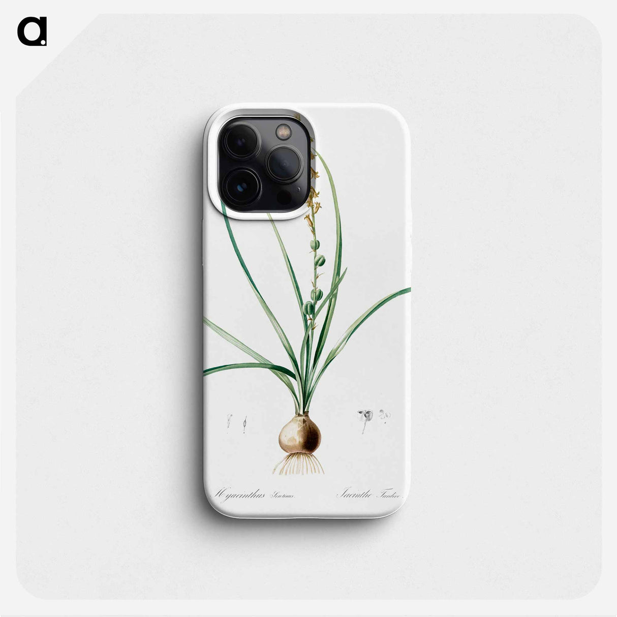 Hyacinthus serotinus - Pierre Joseph Redouté Phone Case.