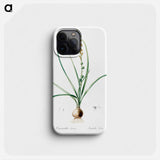 Hyacinthus serotinus - Pierre Joseph Redouté Phone Case.