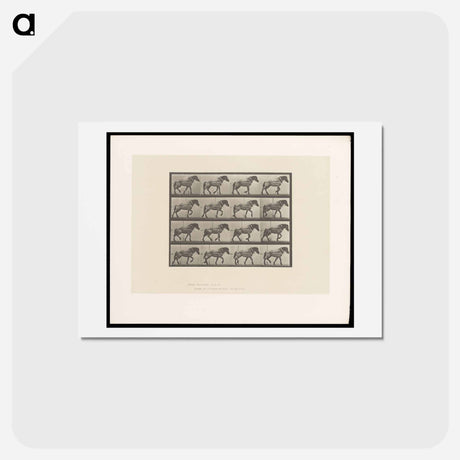 アートポストカード-Horse in Motion
 - エドワード マイブリッジ Postcard.