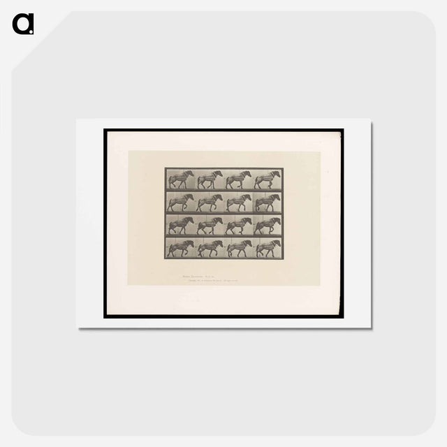 アートポストカード-Horse in Motion
 - エドワード マイブリッジ Postcard.