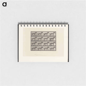アートメモ帳-Horse in Motion
 - エドワード マイブリッジ Memo.