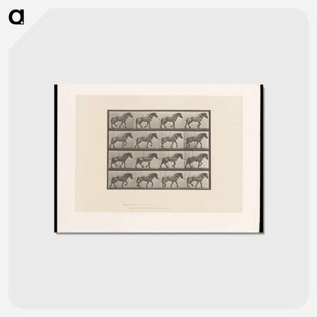 アートポストカード-Horse in Motion
 - エドワード マイブリッジ Postcard.