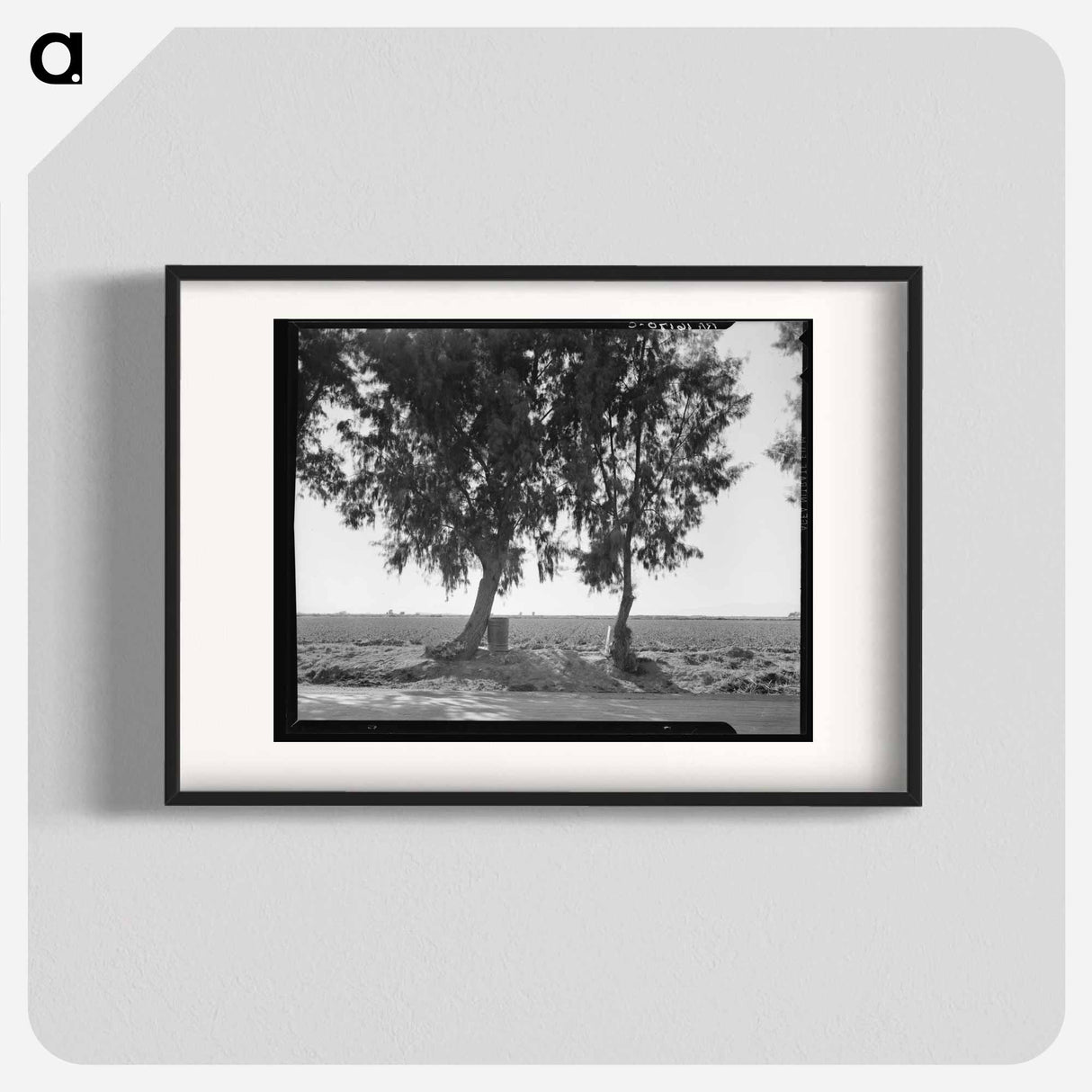 Pea fields of the Imperial Valley, California - Dorothea Lange Poster.