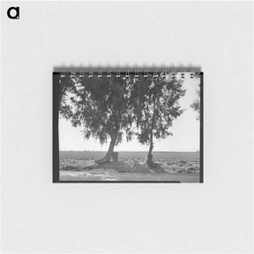 アートメモ帳-Pea fields of the Imperial Valley, California - ドロテア ラング Memo.