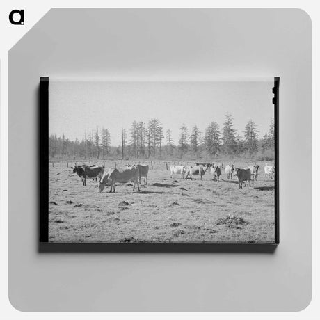 アートパネル-Sharecropper's Cabin
 - ラッセル リー Canvas.