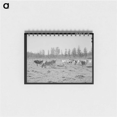 アートメモ帳-Sharecropper's Cabin
 - ラッセル リー Memo.