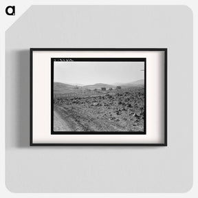 アートポスター-Road up the valley toward Ola self-help sawmill co-op. Gem County, Idaho - ドロテア ラング Poster.