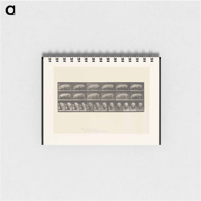 アートメモ帳-Walking Sow
 - エドワード マイブリッジ Memo.