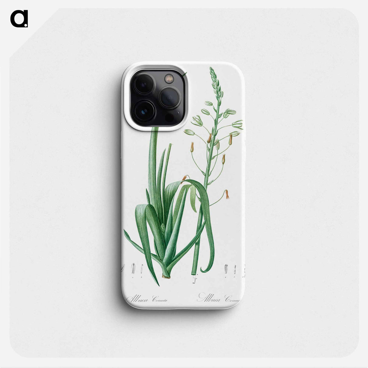 Albuca cornuta illustration - Pierre Joseph Redouté Phone Case.